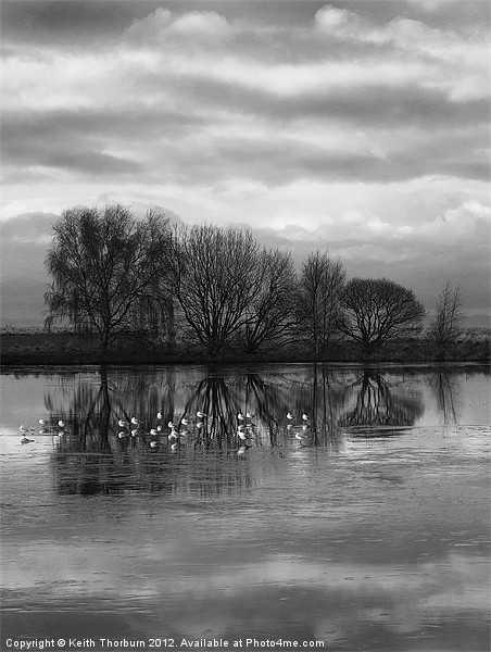 Musselburgh Lagoons. Picture Board by Keith Thorburn EFIAP/b