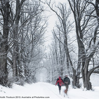 Buy canvas prints of Winter Walk by Keith Thorburn EFIAP/b