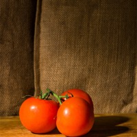 Buy canvas prints of Tomatos by Keith Thorburn EFIAP/b