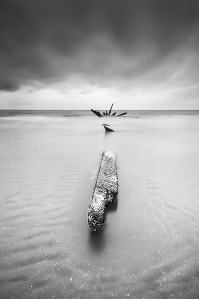Shipwreck at Longniddry Picture Board by Keith Thorburn EFIAP/b