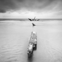 Buy canvas prints of Shipwreck at Longniddry by Keith Thorburn EFIAP/b