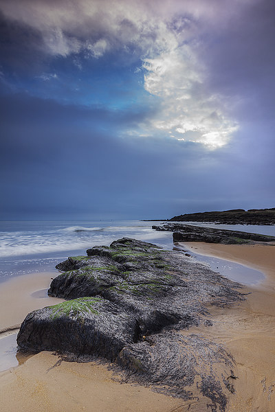 Rocks at Tyninghame Beach Picture Board by Keith Thorburn EFIAP/b
