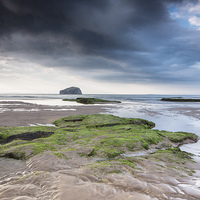 Buy canvas prints of Bass Rock from Seacliff by Keith Thorburn EFIAP/b