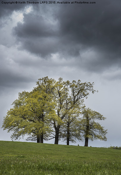 Trees in Weather Picture Board by Keith Thorburn EFIAP/b