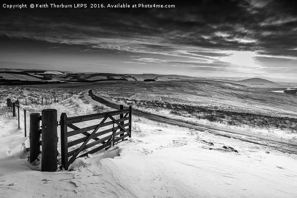 Lammermuir Hills Winter Scenes Picture Board by Keith Thorburn EFIAP/b