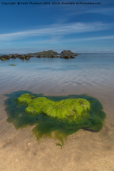 Fidra Lighthouse Coastline Picture Board by Keith Thorburn EFIAP/b