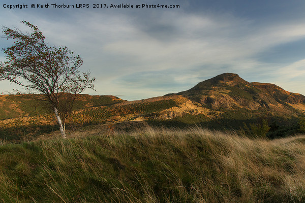 Arthurs Seat View Picture Board by Keith Thorburn EFIAP/b