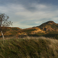 Buy canvas prints of Arthurs Seat View by Keith Thorburn EFIAP/b
