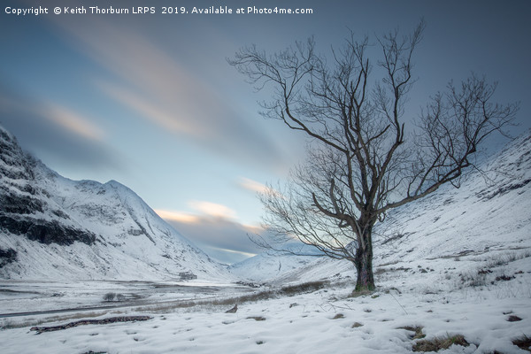 Loch Achtriochtan Tree Picture Board by Keith Thorburn EFIAP/b