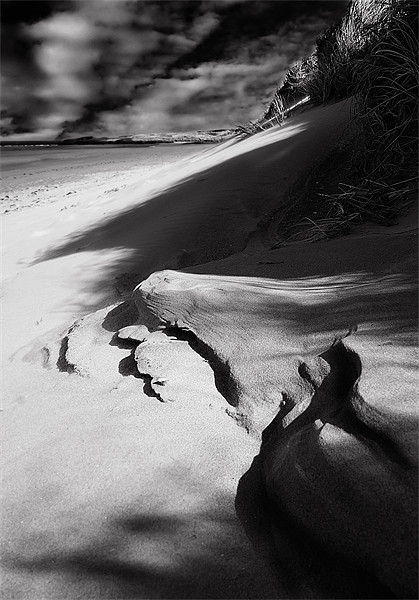 Coastal Dunes Picture Board by Keith Thorburn EFIAP/b