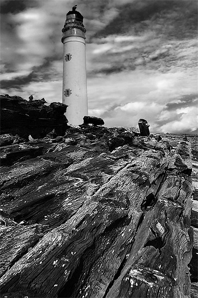 Barnsness Lighthouse Picture Board by Keith Thorburn EFIAP/b