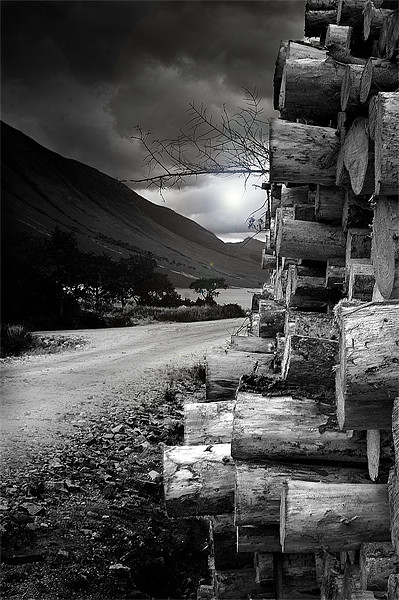 Logs at Glen Etive Picture Board by Keith Thorburn EFIAP/b