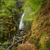 Buy canvas prints of A waterfall in the forest by Keith Thorburn EFIAP/b