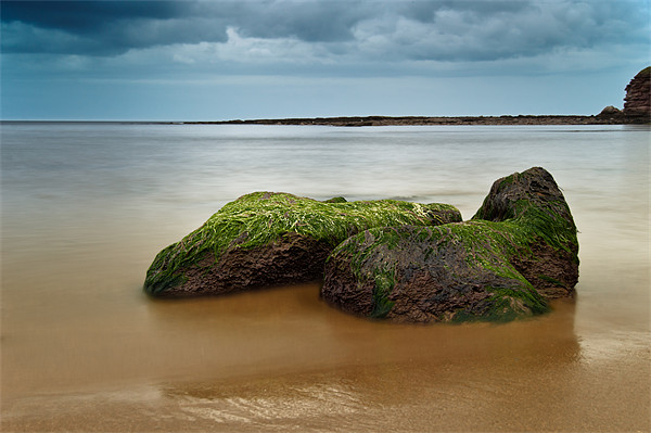 Green sea rocks Picture Board by Keith Thorburn EFIAP/b