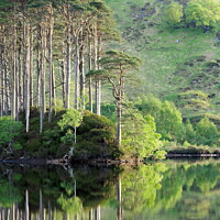 Buy canvas prints of Loch Eilt reflections. by John Cameron