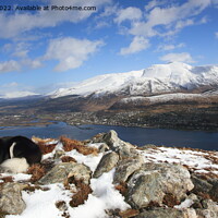 Buy canvas prints of Fort William, Ben Nevis and Loch Linnhe in winter. by John Cameron