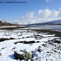 Buy canvas prints of Ben Nevis from Loch Eil. by John Cameron