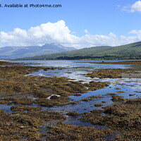 Buy canvas prints of Loch Eil in Lochaber. by John Cameron