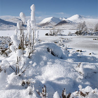 Buy canvas prints of Winter in the Scottish Highlands. by John Cameron