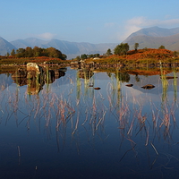 Buy canvas prints of  Loch Ba in Autumn. by John Cameron