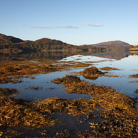 Buy canvas prints of Loch Moidart in Autumn. by John Cameron