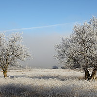 Buy canvas prints of Winter landscape in Lochaber. by John Cameron