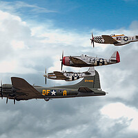 Buy canvas prints of Sally B and Her Little Friends by J Biggadike