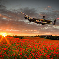 Buy canvas prints of Lancaster Bomber Lady Orchid by J Biggadike