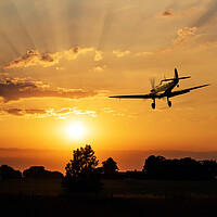 Buy canvas prints of Spitfire Sunset Approach by J Biggadike