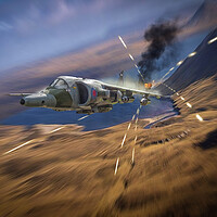 Buy canvas prints of Harrier Hunting by J Biggadike