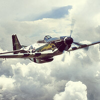 Buy canvas prints of P-51 Mustang Quicksilver by J Biggadike