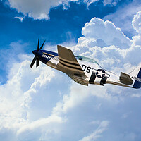 Buy canvas prints of P-51 Mustang Crazy Horse by J Biggadike