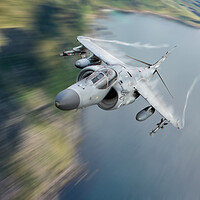 Buy canvas prints of Sea Harrier by J Biggadike