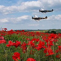 Buy canvas prints of Spitfires and Poppies by J Biggadike