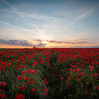 Buy canvas prints of Sunset Poppy Field by J Biggadike