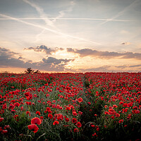 Buy canvas prints of Poppy Field Sunset by J Biggadike