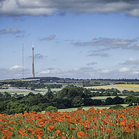 Buy canvas prints of Poppies On Emley Moor by J Biggadike