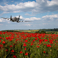Buy canvas prints of Spitfire The City of Exeter by J Biggadike
