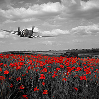 Buy canvas prints of Spitfire The City of Exeter Poppy Fly Past - Selective by J Biggadike