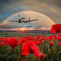 Buy canvas prints of Spitfire MH434 Poppy Pass by J Biggadike