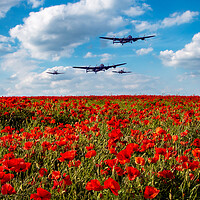 Buy canvas prints of Lancasters Poppy Fly Past by J Biggadike