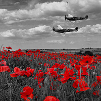 Buy canvas prints of Spitfires and Poppies - Selective Version by J Biggadike