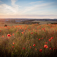 Buy canvas prints of Poppy Field at Sunset by J Biggadike