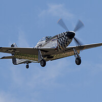 Buy canvas prints of P-51D Mustang Frances Dell by J Biggadike