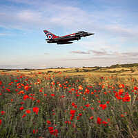 Buy canvas prints of Eurofighter Typhoon Poppy Fly Past by J Biggadike