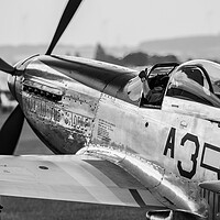 Buy canvas prints of P51 Mustang Tall In The Saddle by J Biggadike