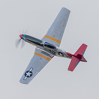 Buy canvas prints of P51 Mustang Tall In The Saddle by J Biggadike