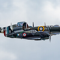 Buy canvas prints of Wildcat Spitfire and Hawk by J Biggadike