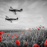 Buy canvas prints of Spitfire and Hurricane Poppy Tribute by J Biggadike