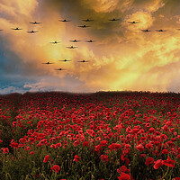 Buy canvas prints of Sunset Poppies Spitfires by J Biggadike